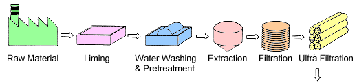 Raw Material - Liming - Water Washing & Pretreatment - Extraction - Filtration - Ultra Filtration