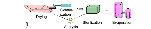 Drying - Gelatinization - Analysis - Sterilization - Evaporation